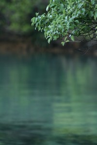 The best thing about sailing is finding land, waking early and taking photos when everyone else is still asleep.