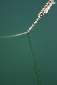 And discovering the simple things