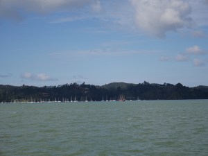 Sailing into Paihia