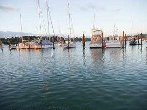 Opua Marina. They're quite strict here - not as lovely as Mana!