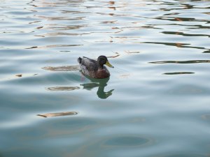Leaving Opua (5 of 5)