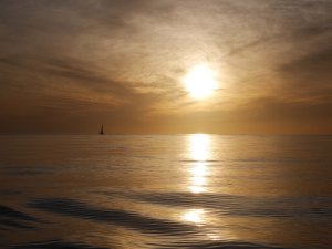 Opua to Tonga (12 of 37)