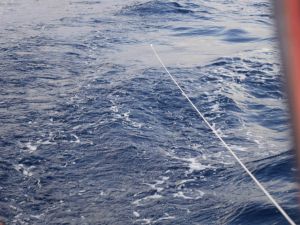 Opua to Tonga (28 of 37)