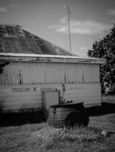 Pangai was hit by a cyclone 18 months ago. Many of the houses haven't been rebuilt and there's not a lot of food crops being grown. There's evidence of international Aid but not of progress. 