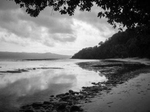 Pretty much beautiful stuff at every turn.