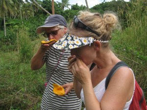 A benefit of getting lost - coming across one ripe pawpaw in a bunch, about to fall.