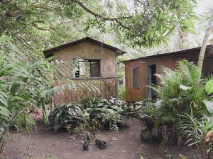 Kim and I went for a massage here. It was the best massage I've ever had. Una was 'trained' by her grandmother - she's more like a healer. If you're in Savusavu, you can contact Una on the notice board next to the Cobra Shed Marina. Take insect repellent.