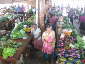 Labasa markets, right by the bus stop where the bus drivers scraggle to get to the front of the line. Eggplant, lots of cabbage, cassava, bok choy, beans, chillies and heaps of bananas.