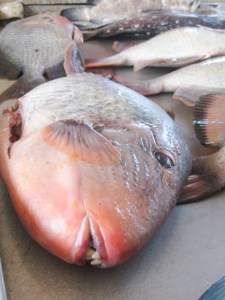 This just looks wrong.