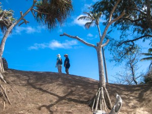 The Yasawas have had no significant rain for two years. When we were at Yalobi Bay on Waya Island, the school was shut because they ran out of water. 