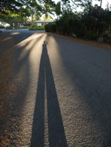 In paradise I'm very, very tall.