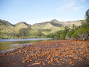 A little inlet on the right from Baie Laugier, our first stop on the East Coast. It reminded us the Marlborough Sounds.