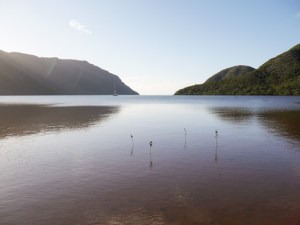 NC Grand Terre & surrounds-4