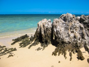 Every rock, plant, shell, view, swim and day has been so different.