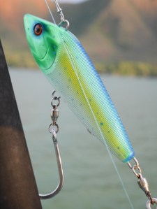 Our fancy new lure that got eaten by a fancy big fish. 